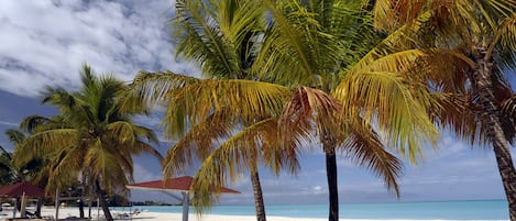 Vistas desde el alojamiento