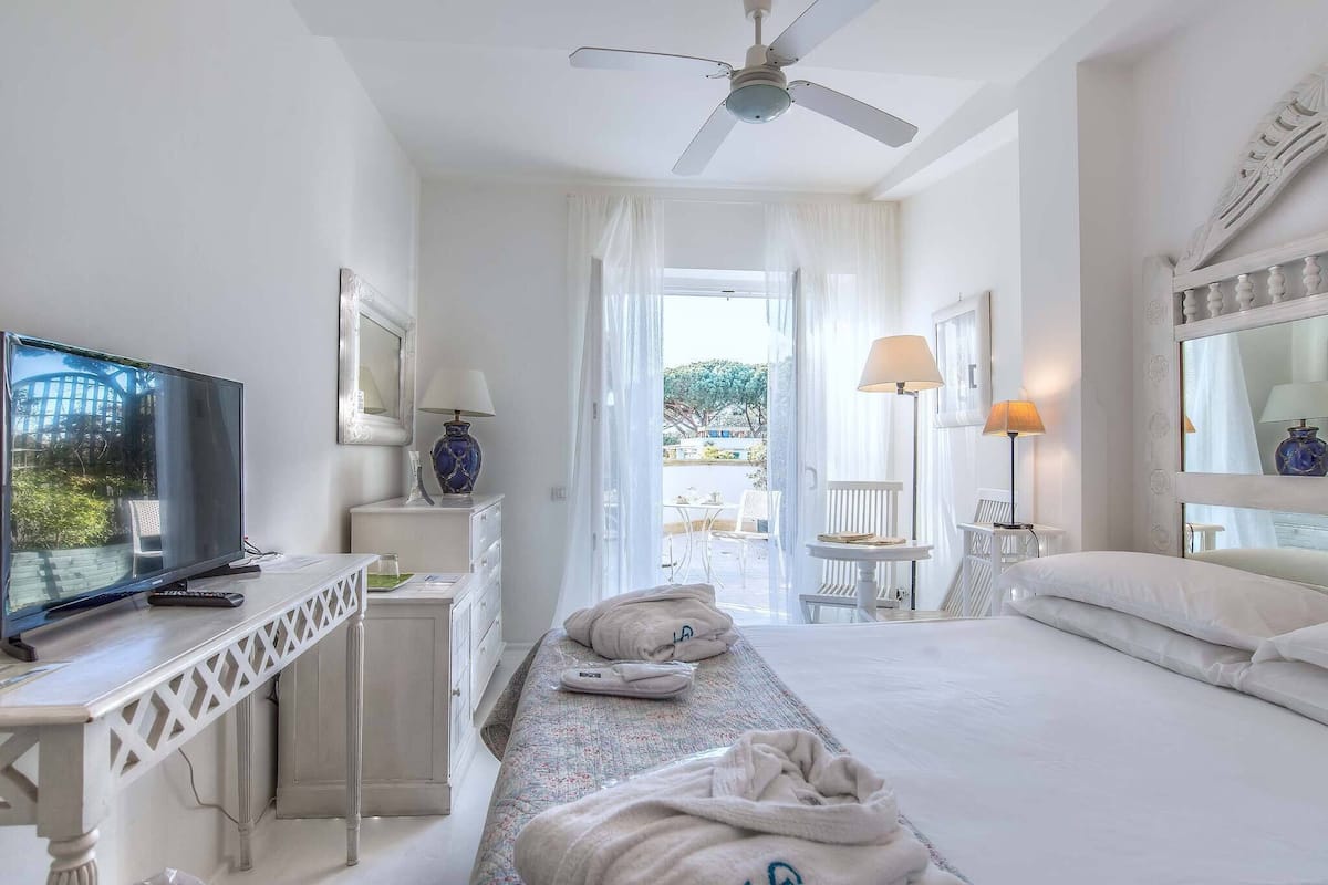 A hotel room with a bed, a TV, a desk, a ceiling fan, and a view of the outside.