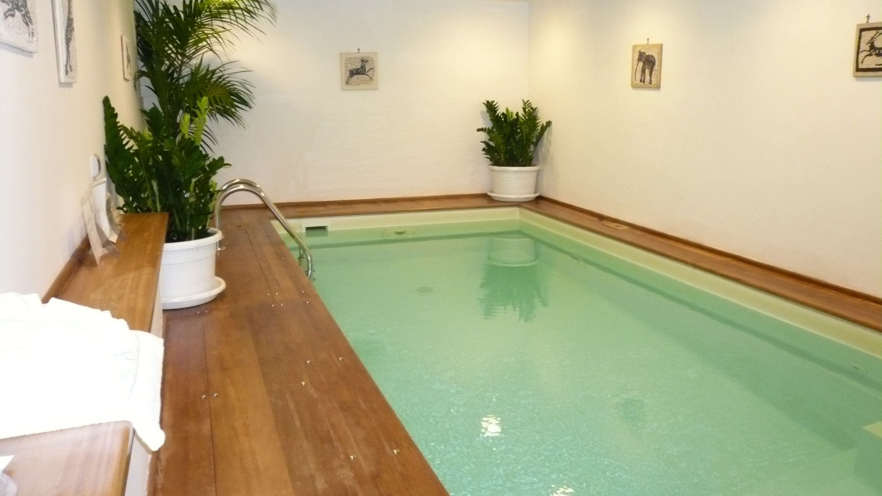 A swimming pool with wooden flooring and potted plants.