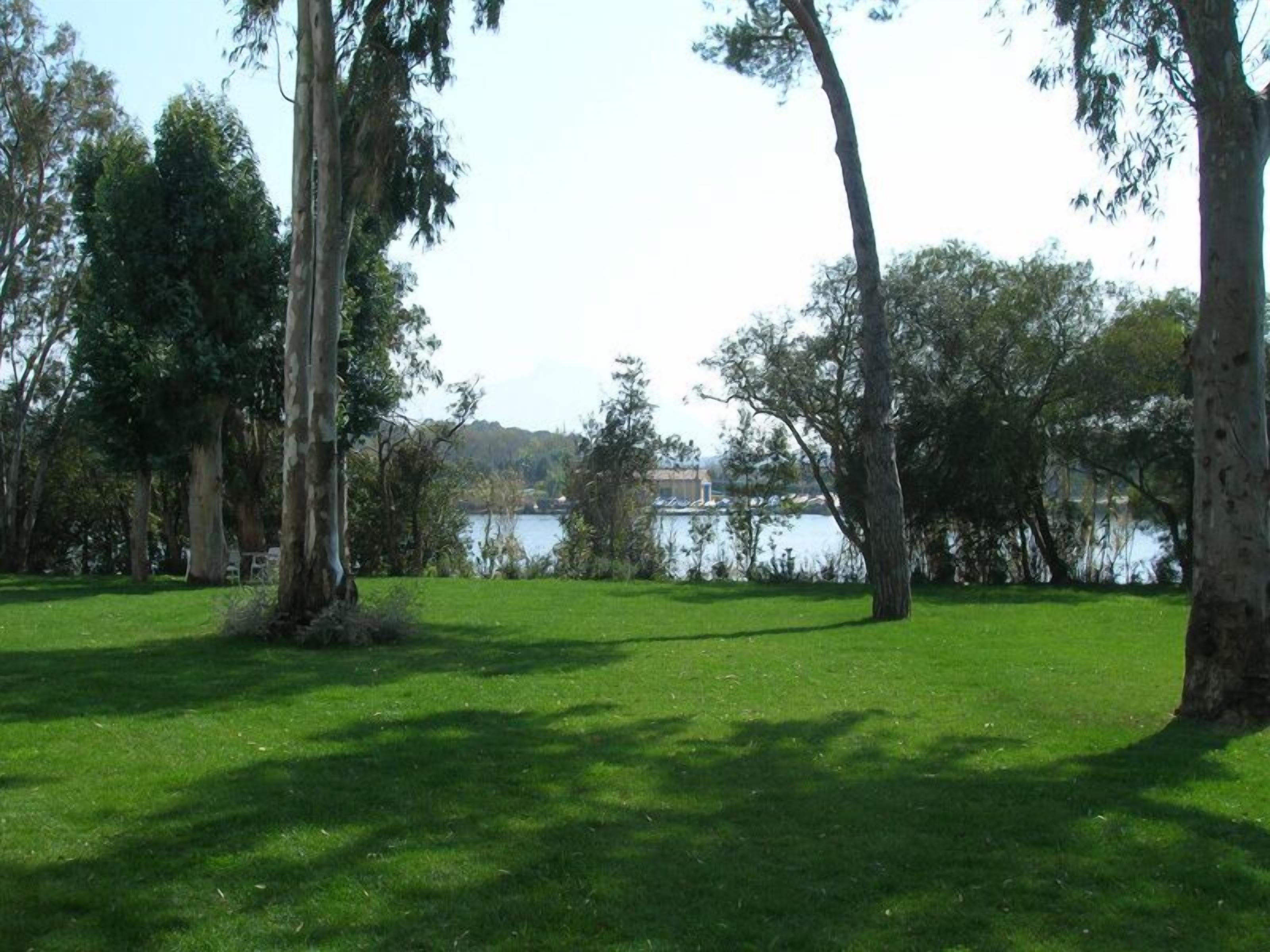 Un parque con césped, árboles y una masa de agua al fondo.