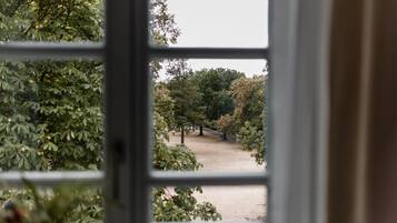 Uitzicht door een raam met metalen lijst, waarop een pad te zien is, omringd door bomen en een bank.
