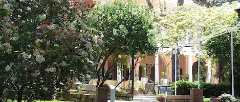Un patio con varios árboles y arbustos, escalones de piedra y un edificio con arcos al fondo.