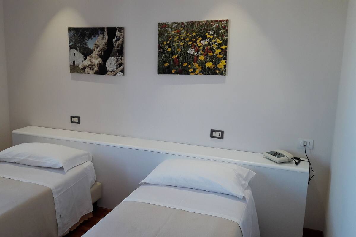 Una habitación con dos camas individuales, un cabecero blanco y dos cuadros colgados en la pared.