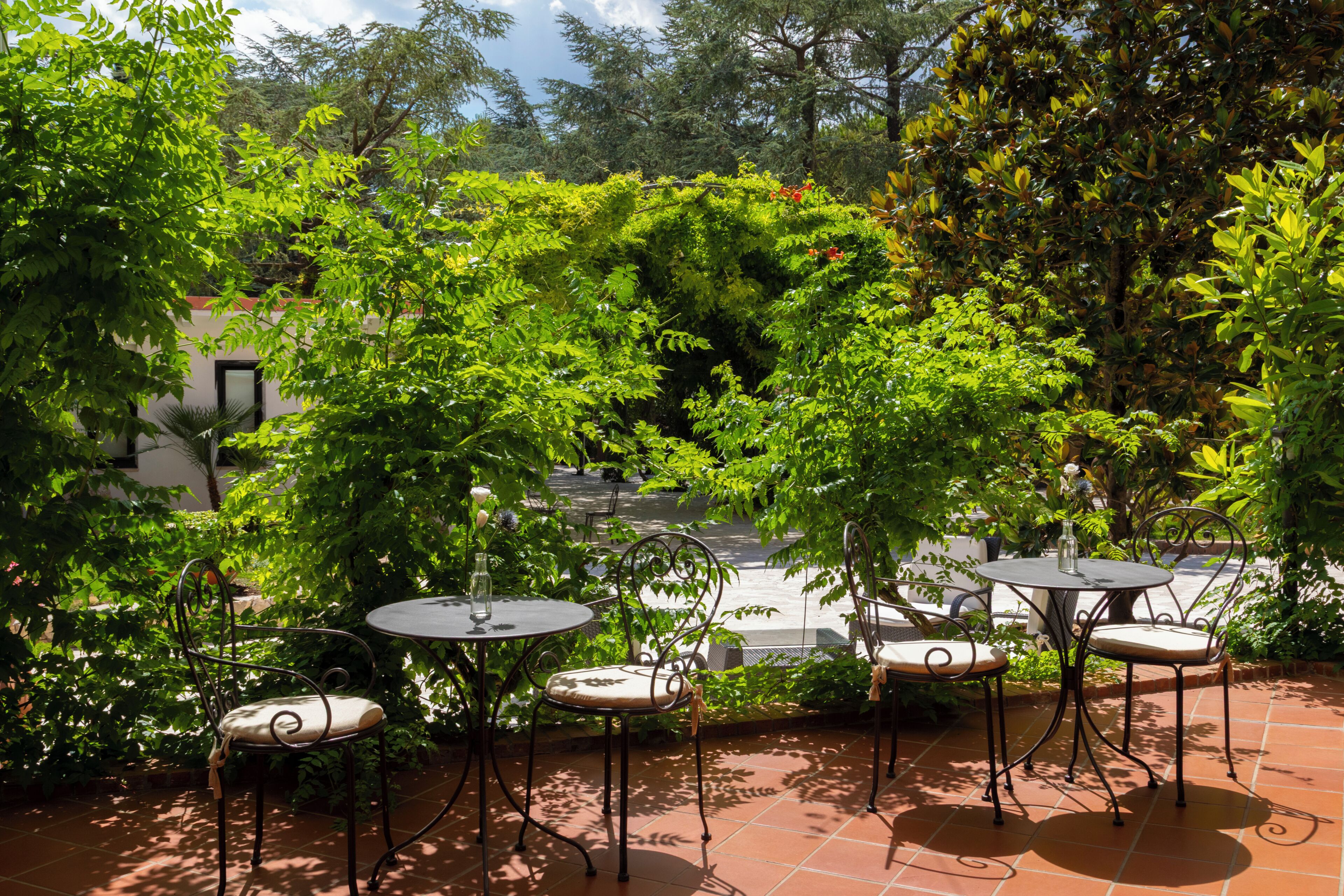 An outdoor patio area with round tables and chairs, surrounded by lush greenery and trees.