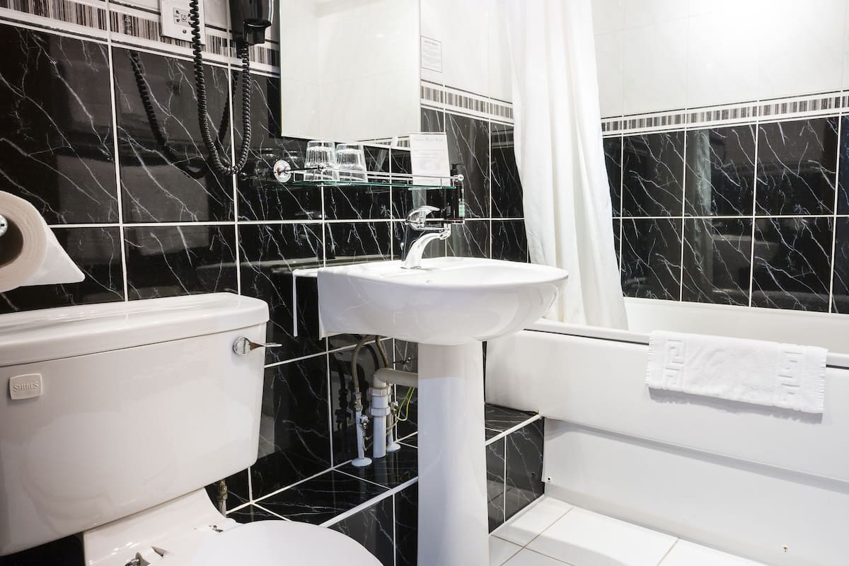 standard double room, 1 double bed | bathroom | combined shower/bathtub, free toiletries, hair dryer, towels