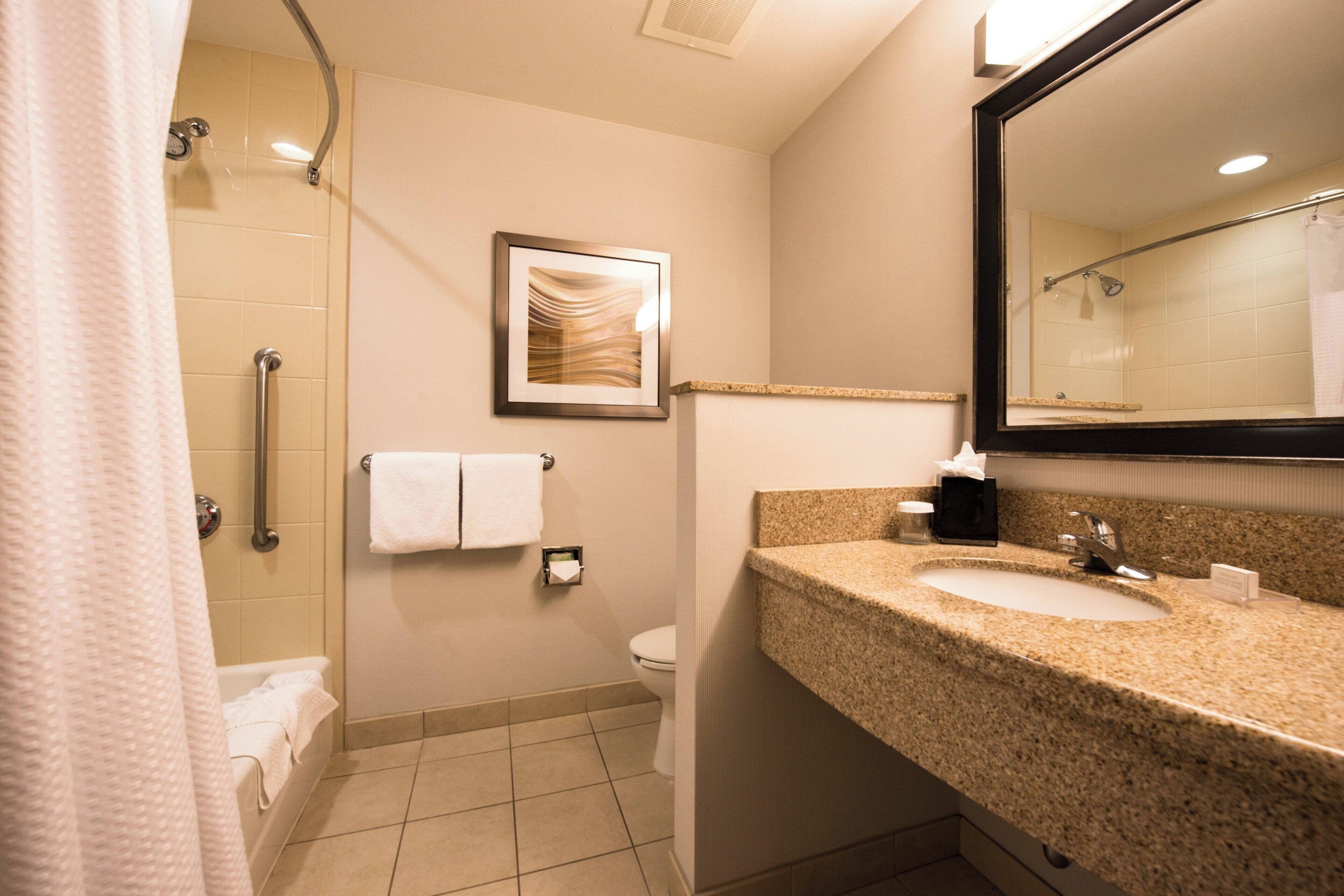 suite, 1 bedroom | bathroom | hydromassage showerhead, free toiletries, hair dryer, towels