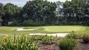 Campo de golf con una bandera, rodeado de árboles densos y diversas plantas.