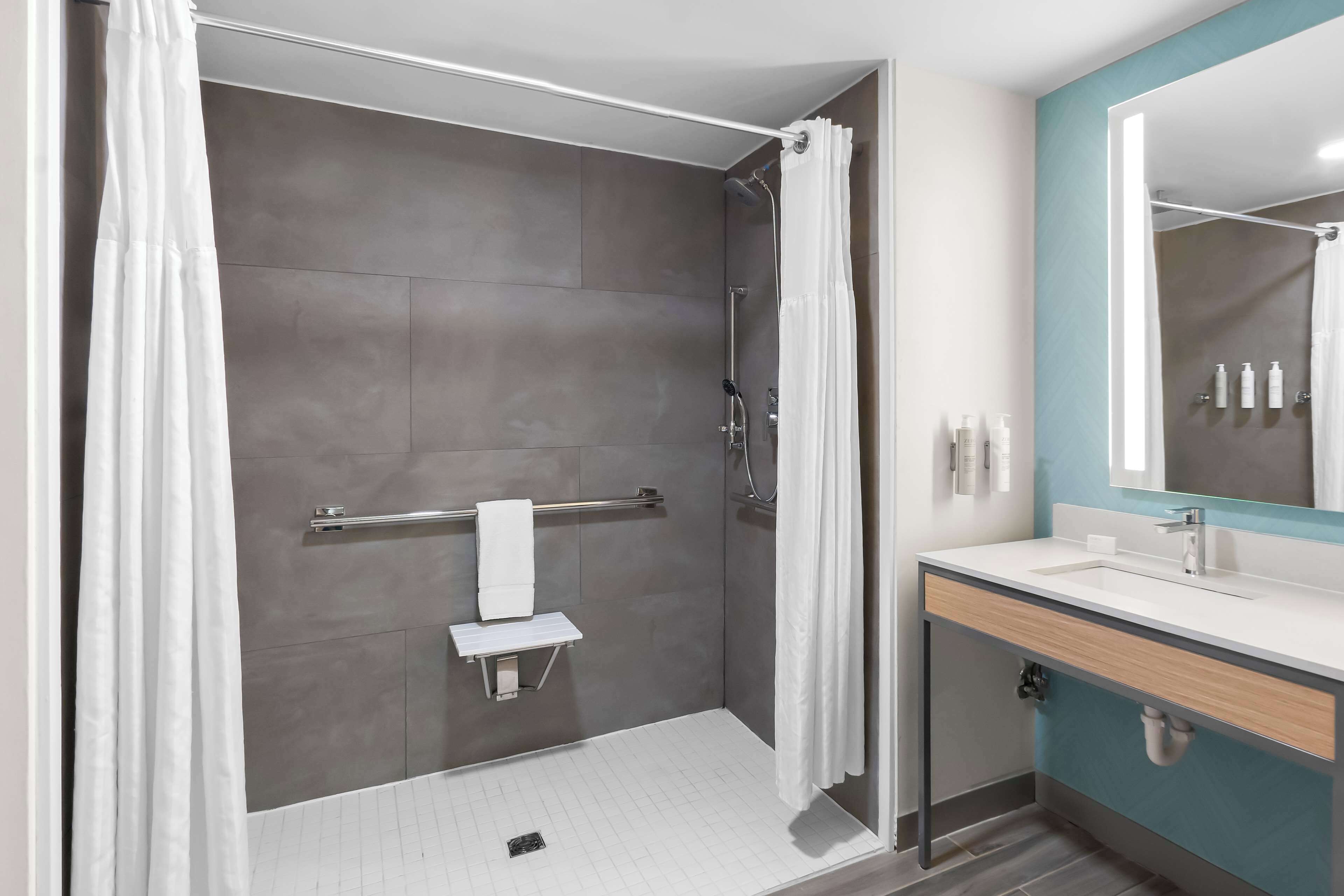 suite, 1 king bed, accessible, non smoking (hearing impaired) | bathroom shower