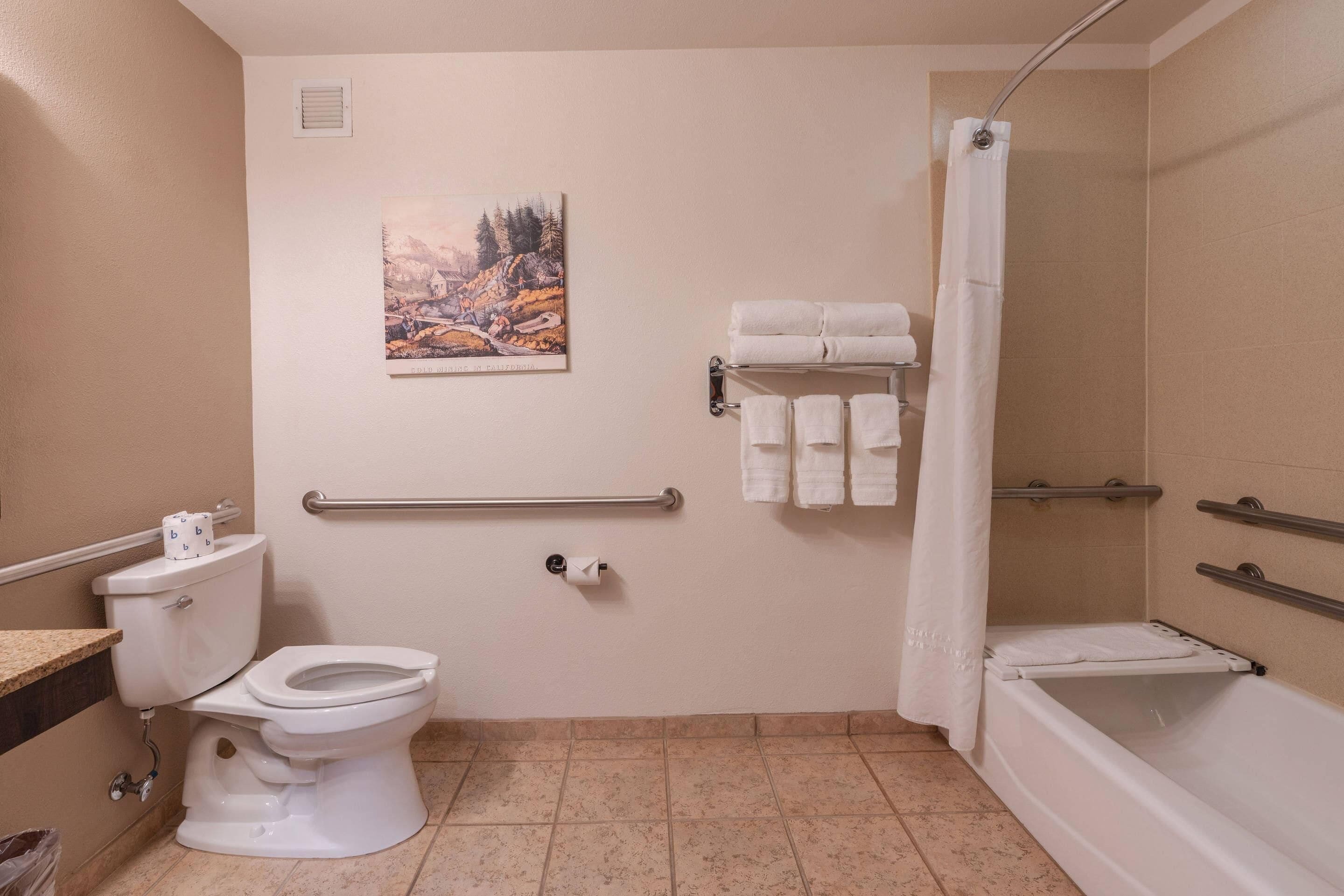 A bathroom with a toilet, a shower, and a towel rack.