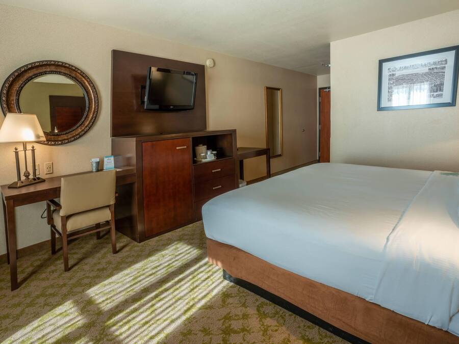A hotel room with a bed, a desk, a chair, a TV, a mirror, and a framed picture on the wall.