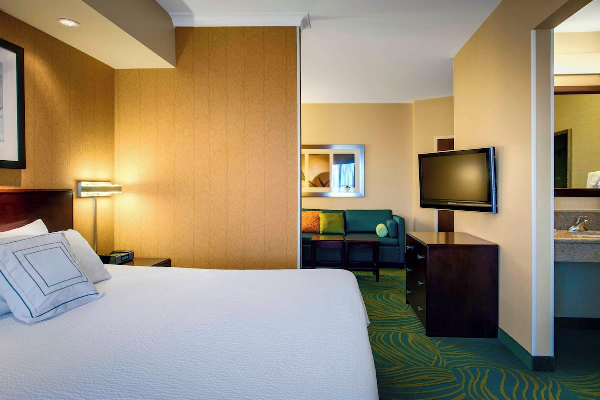 Una habitación de hotel con una cama grande, televisión, sofá y una mesita.