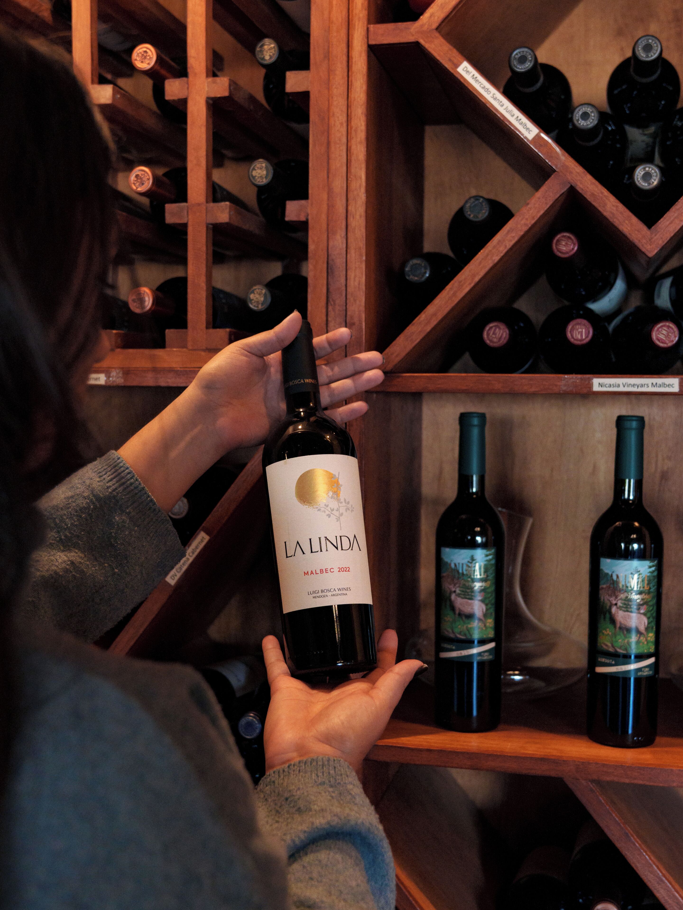 A person holding a wine bottle with a label reading 'LA LINDA MALBEC 2022' in a wine cellar with wooden racks.
