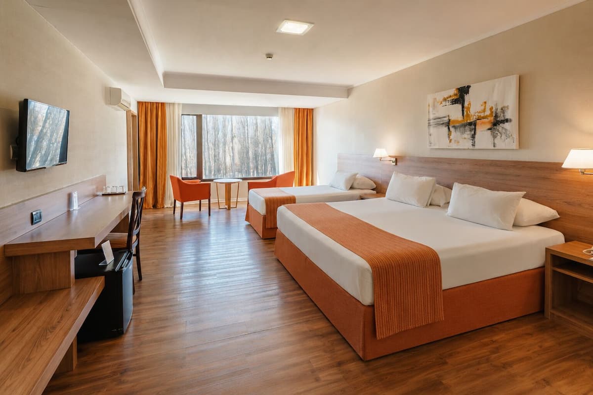 A hotel room with a large bed, a desk, a chair, and a TV.