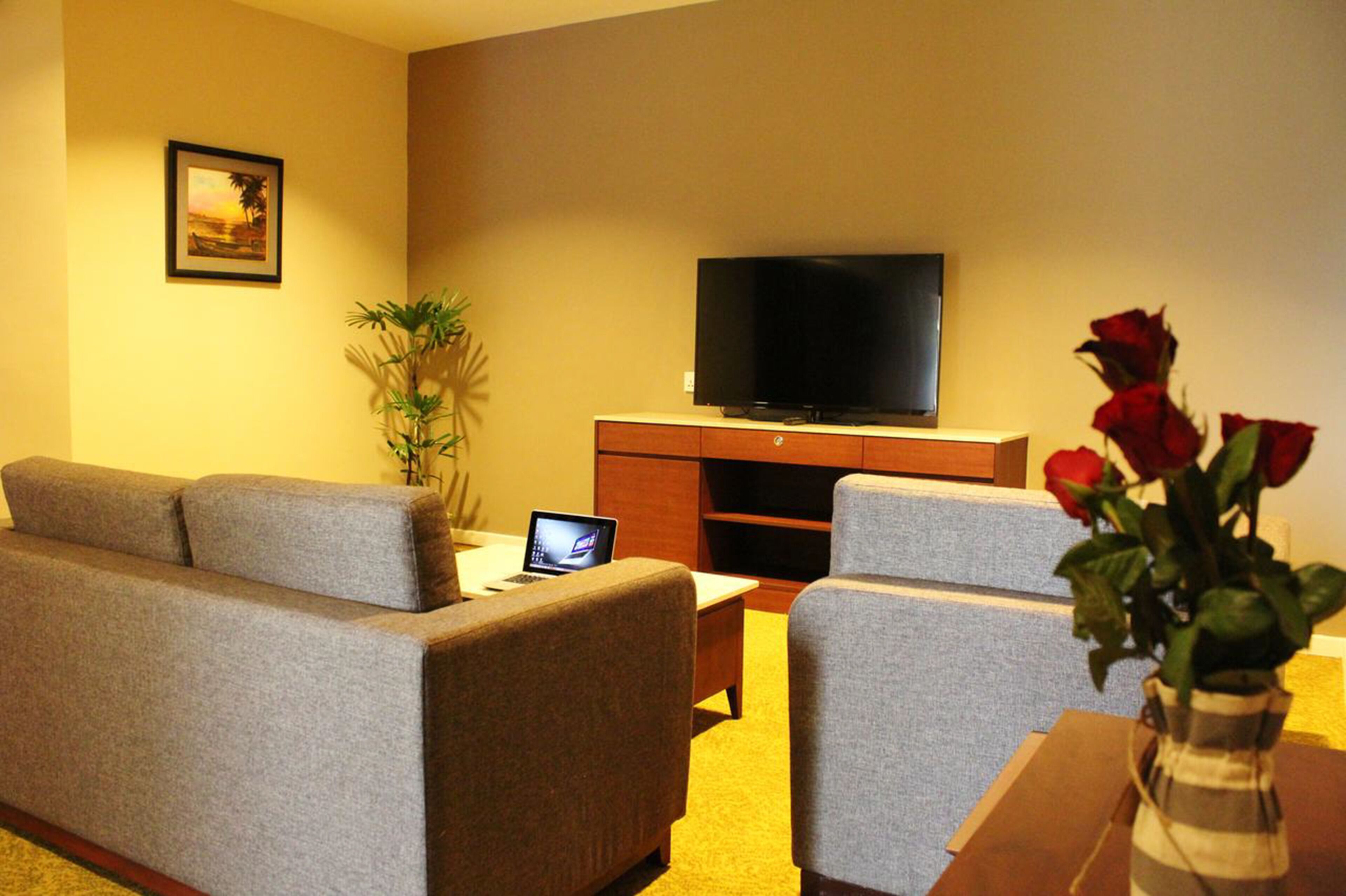 family suite | living room | 32-inch led tv with satellite channels, tv