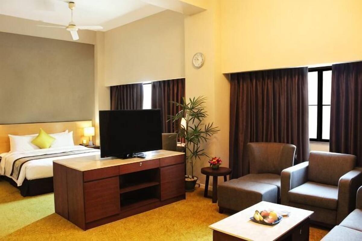 A hotel room with a bed, TV, seating area, and a plant.