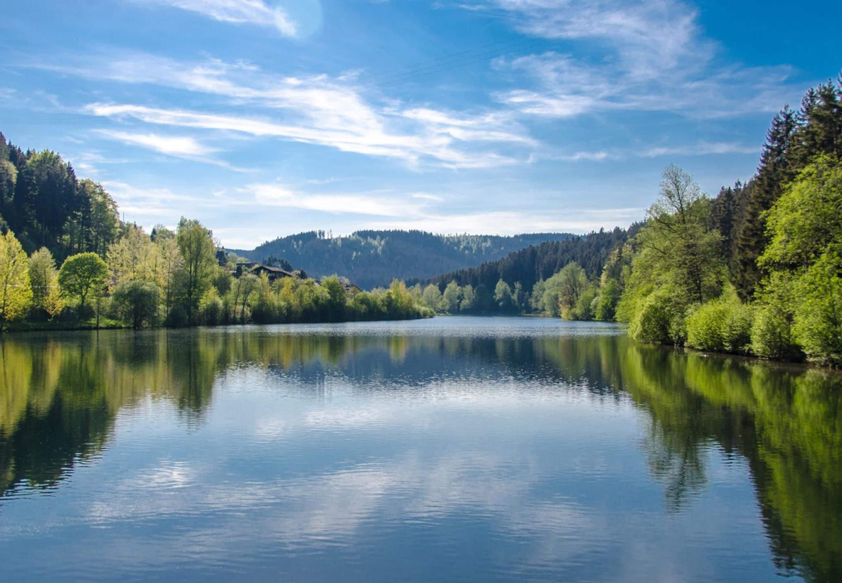 Un lago tranquilo rodeado de bosque denso y colinas.