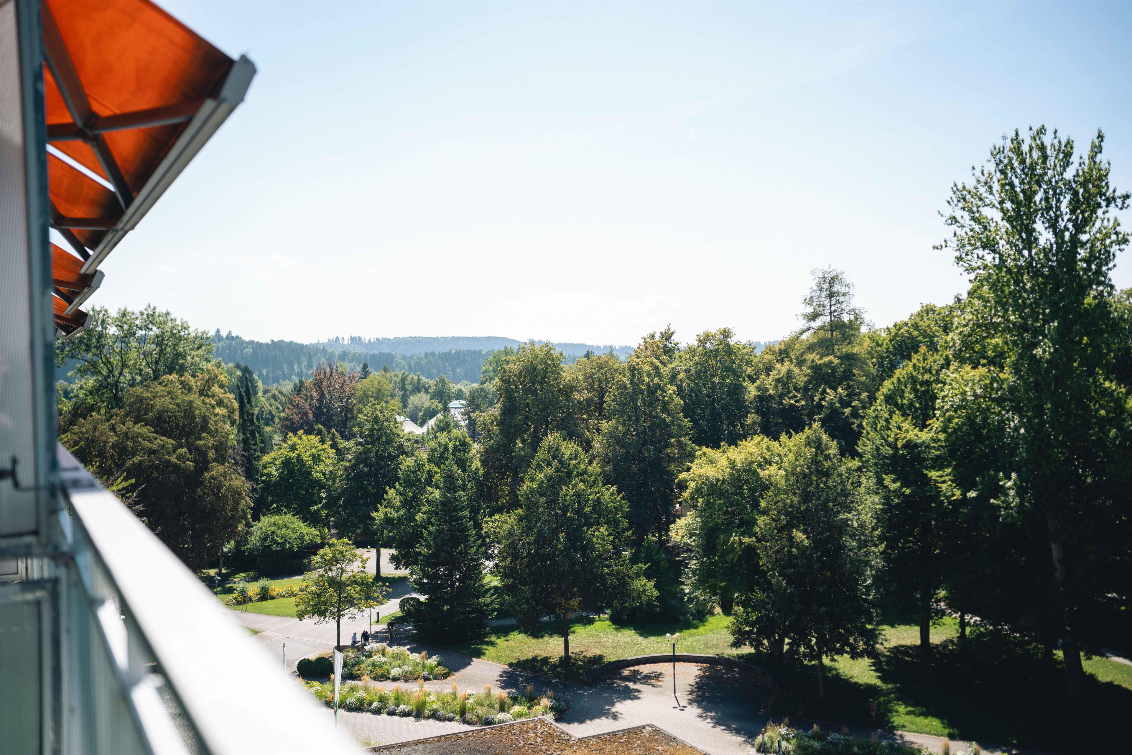 Blick auf einen Park mit Bäumen und einem Gebäude im Hintergrund.