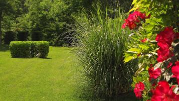 Un jardín bien cuidado con diversas plantas y un seto ordenado.