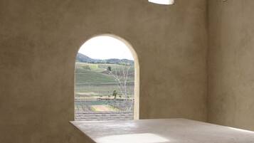 A room with a large window, a hanging light fixture, and a view of a vineyard.