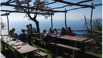 Área de parrillas y picnic