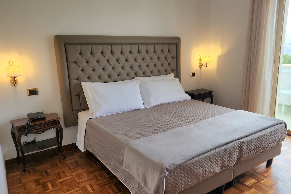 Deluxe Double or Twin Room | Minibar, desk, laptop workspace, free WiFi