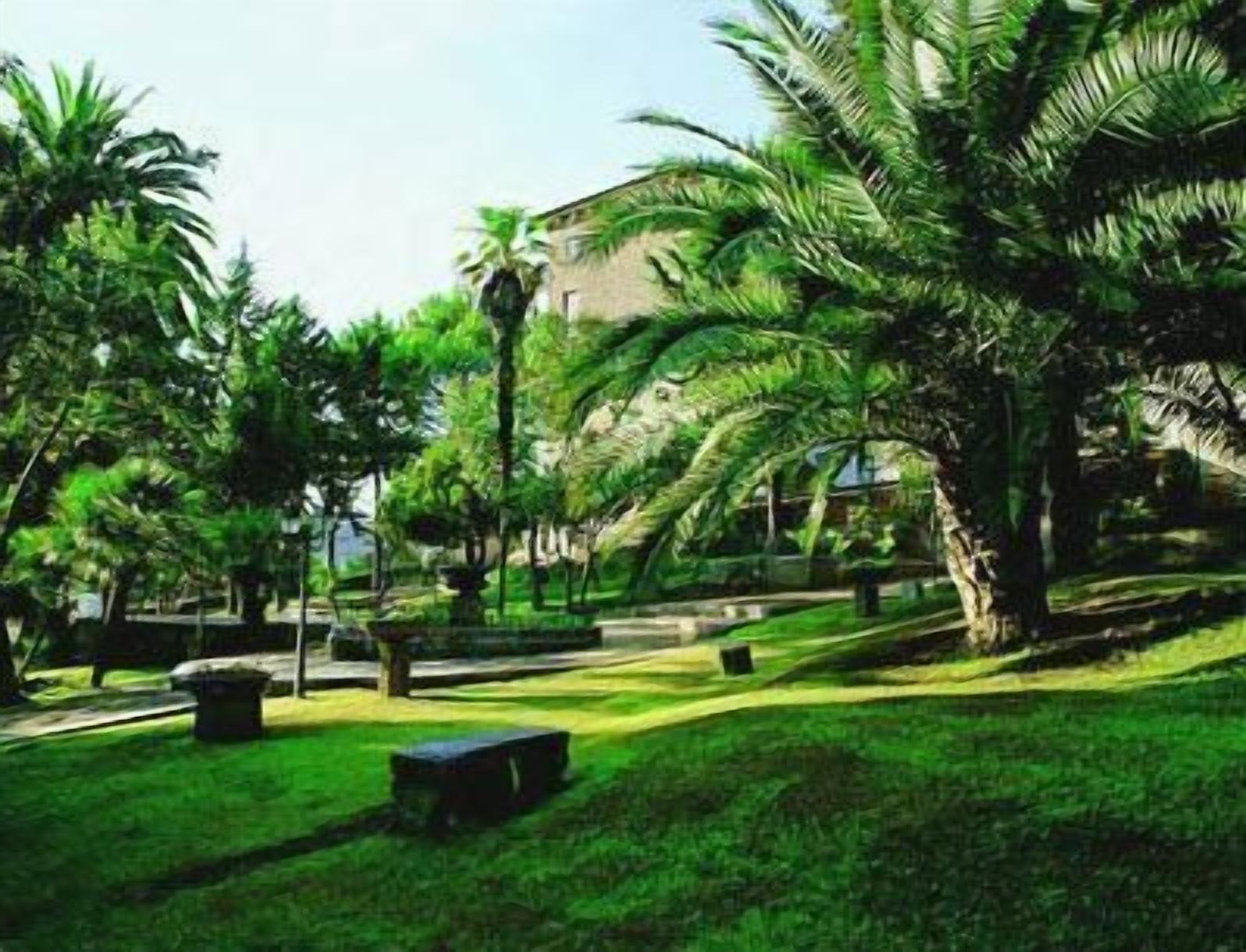 A lush garden with palm trees and a building in the background.