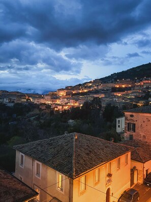 Une ville dotée de bâtiments historiques et offrant une vue panoramique depuis une colline.