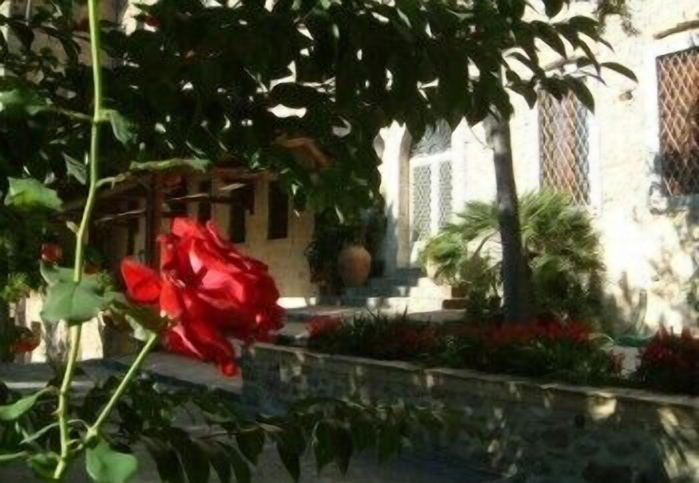 Une cour avec un mur en pierre, des plantes en pot et une grande fleur rouge.