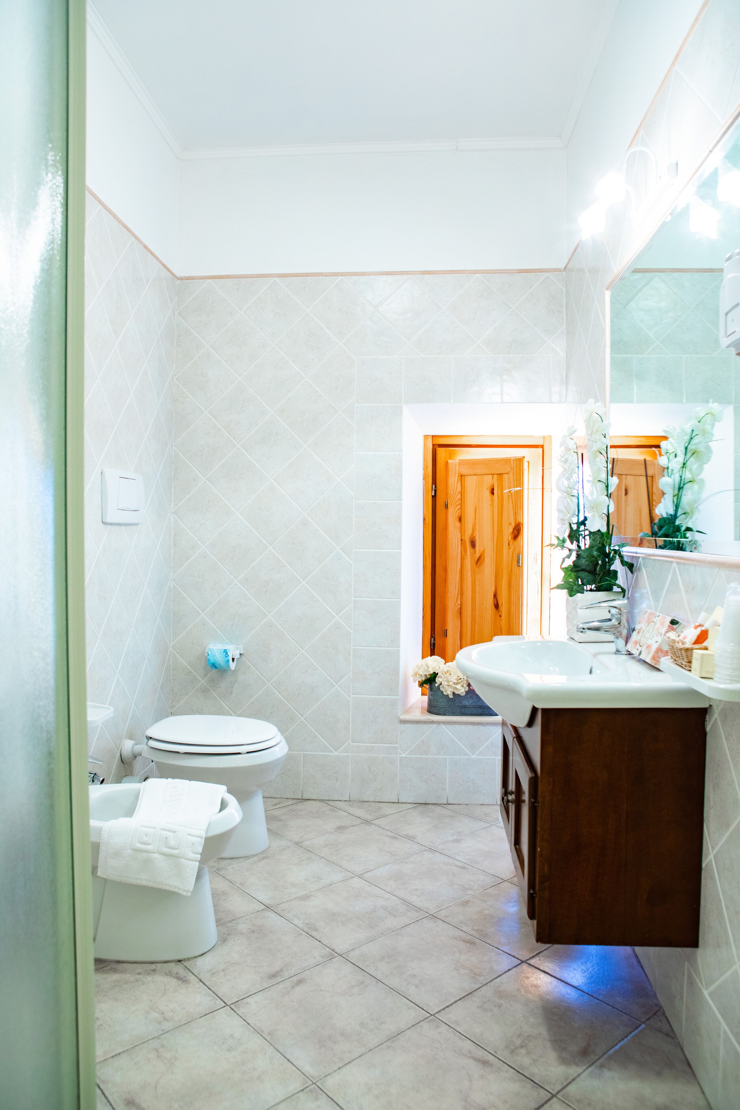 shower, free toiletries, hair dryer, bidet