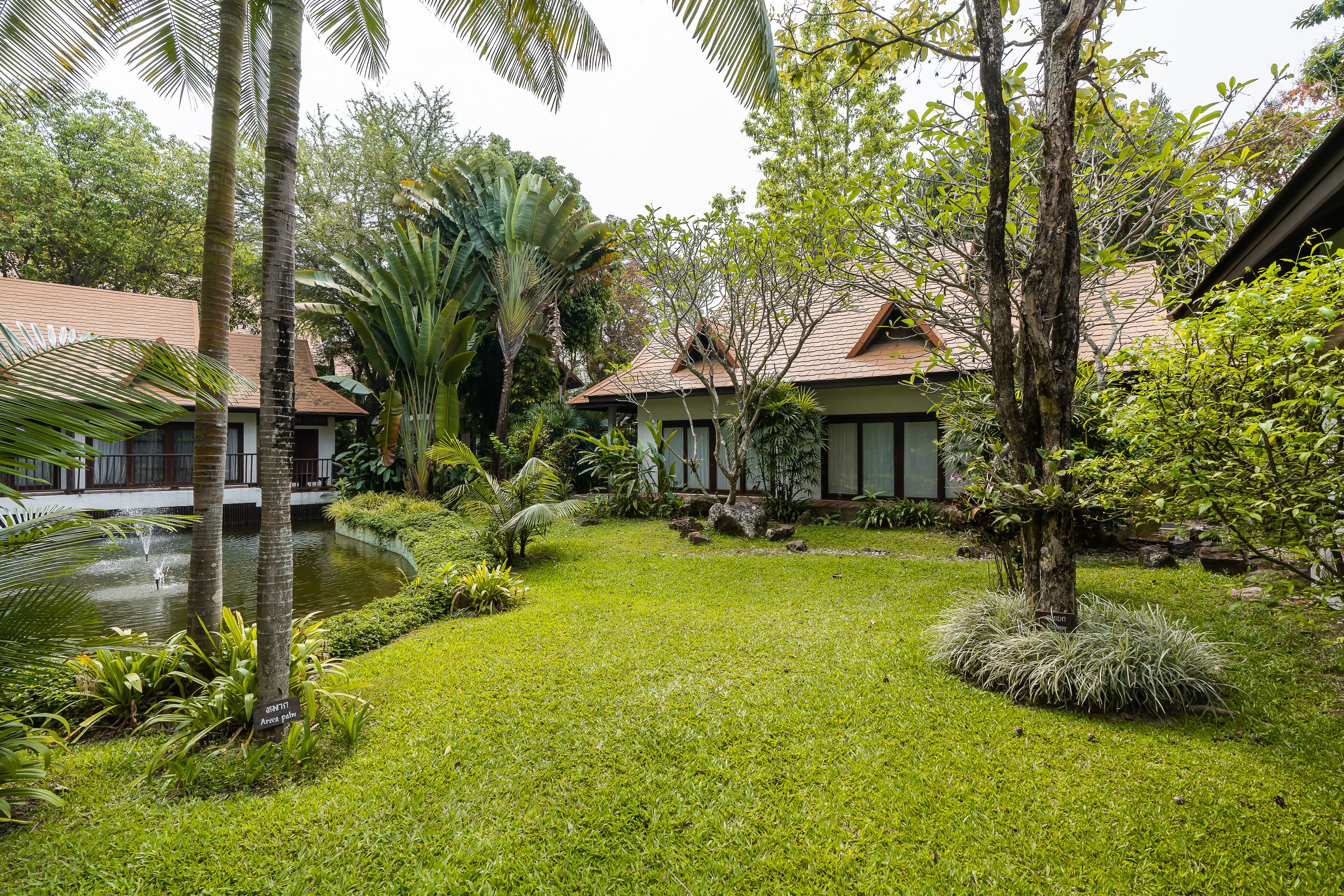 deluxe studio | park view