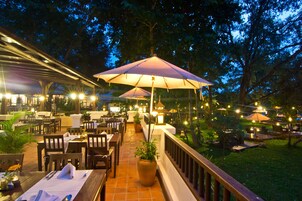 Un área de comedor al aire libre con mesas, sillas, sombrillas y plantas en macetas.