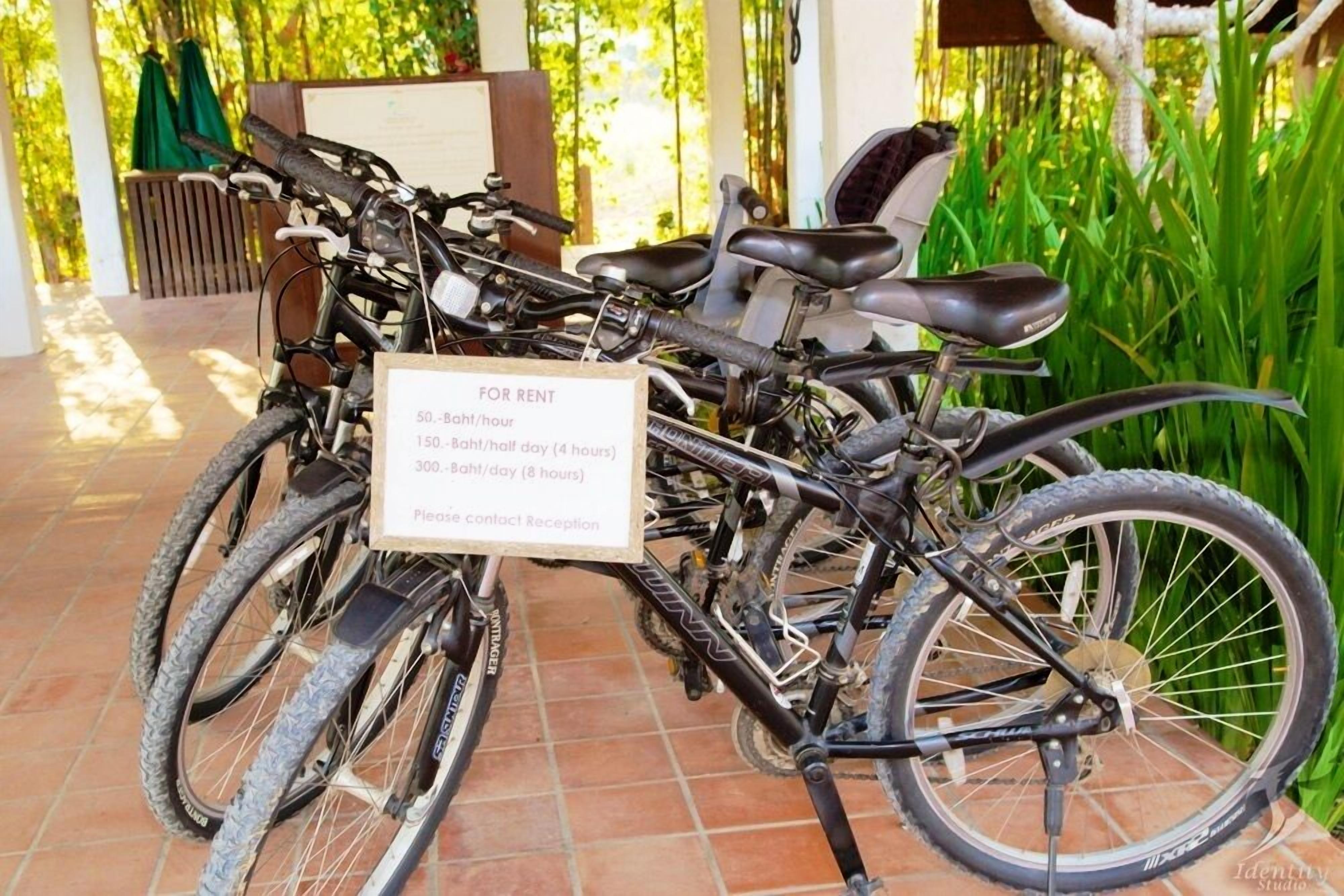 Bicycles for rent with a sign detailing hourly rates.