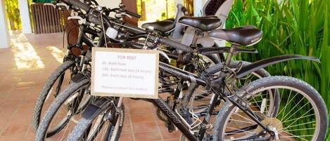Bicycles for rent with a sign detailing hourly rates.