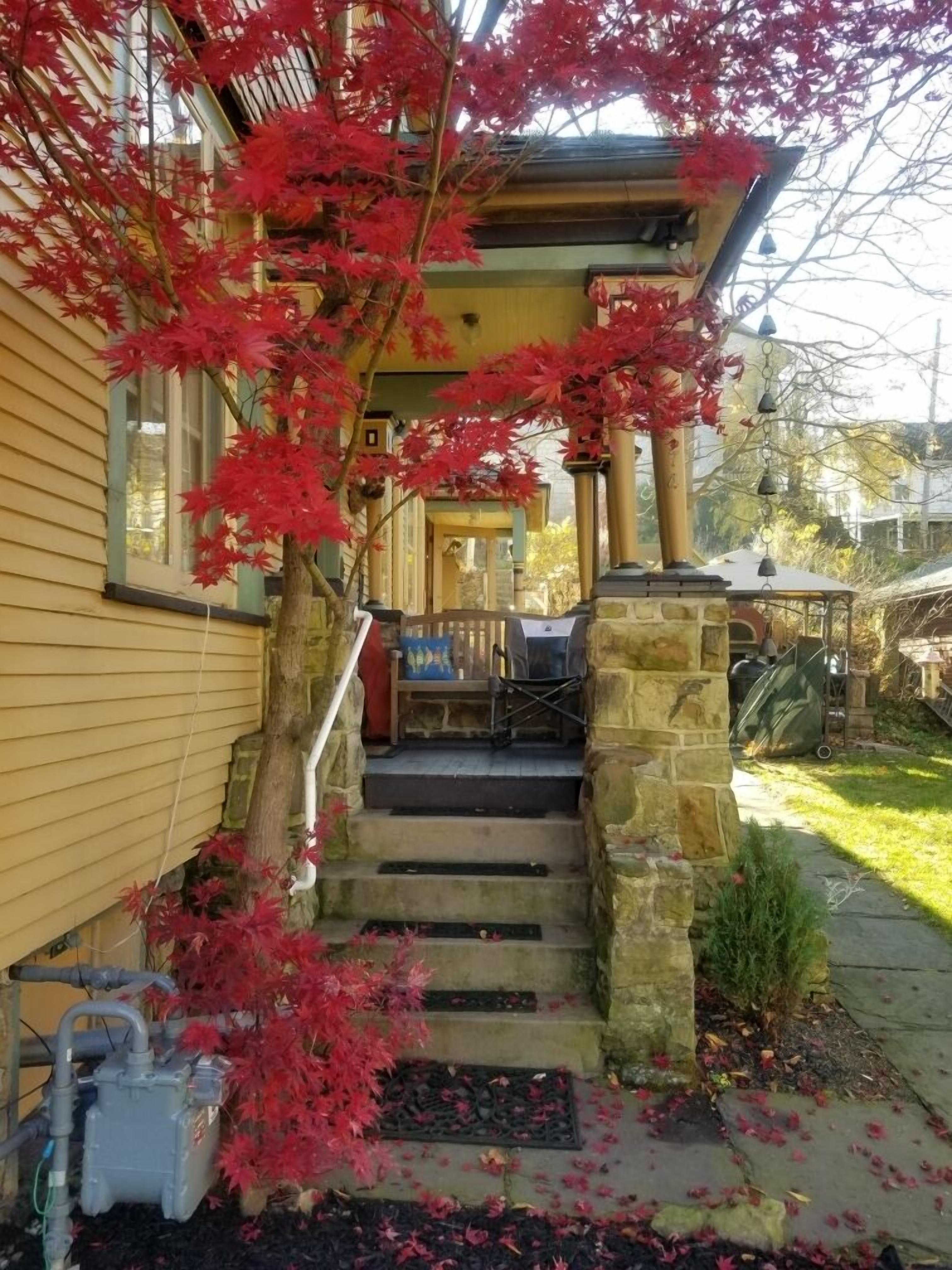 Family Room, Multiple Beds, Private Bathroom (The Maid's Quarters) Pet Friendly | Terrace/patio