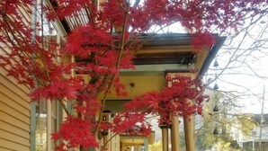 Una casa con una escalera de piedra que lleva a un porche, rodeada de follaje rojo.