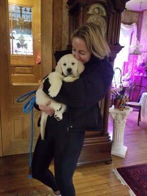Pet-friendly - The Queen, A Victorian Bed & Breakfast (Bellefonte)