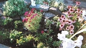 花園