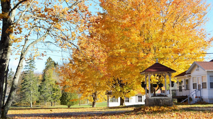 Eden Village Motel & Cottages