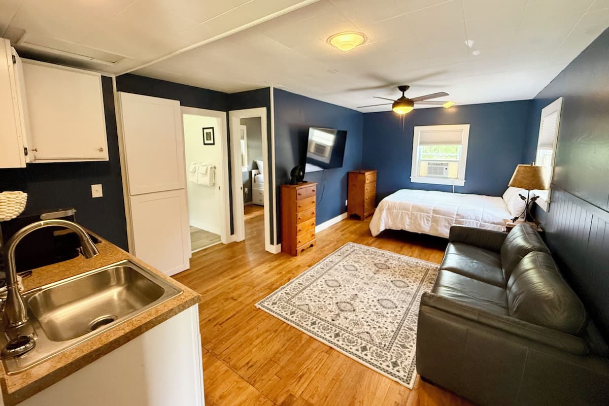 A compact room with a kitchenette, a bed, a sofa, and a ceiling fan.