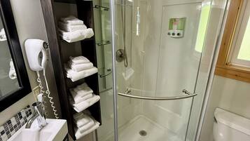 A modern bathroom with a glass-enclosed shower, a vanity with a sink and mirror, and a toilet.