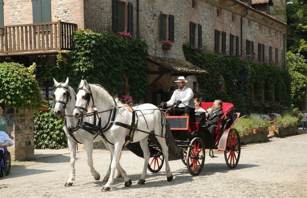 outdoor wedding area