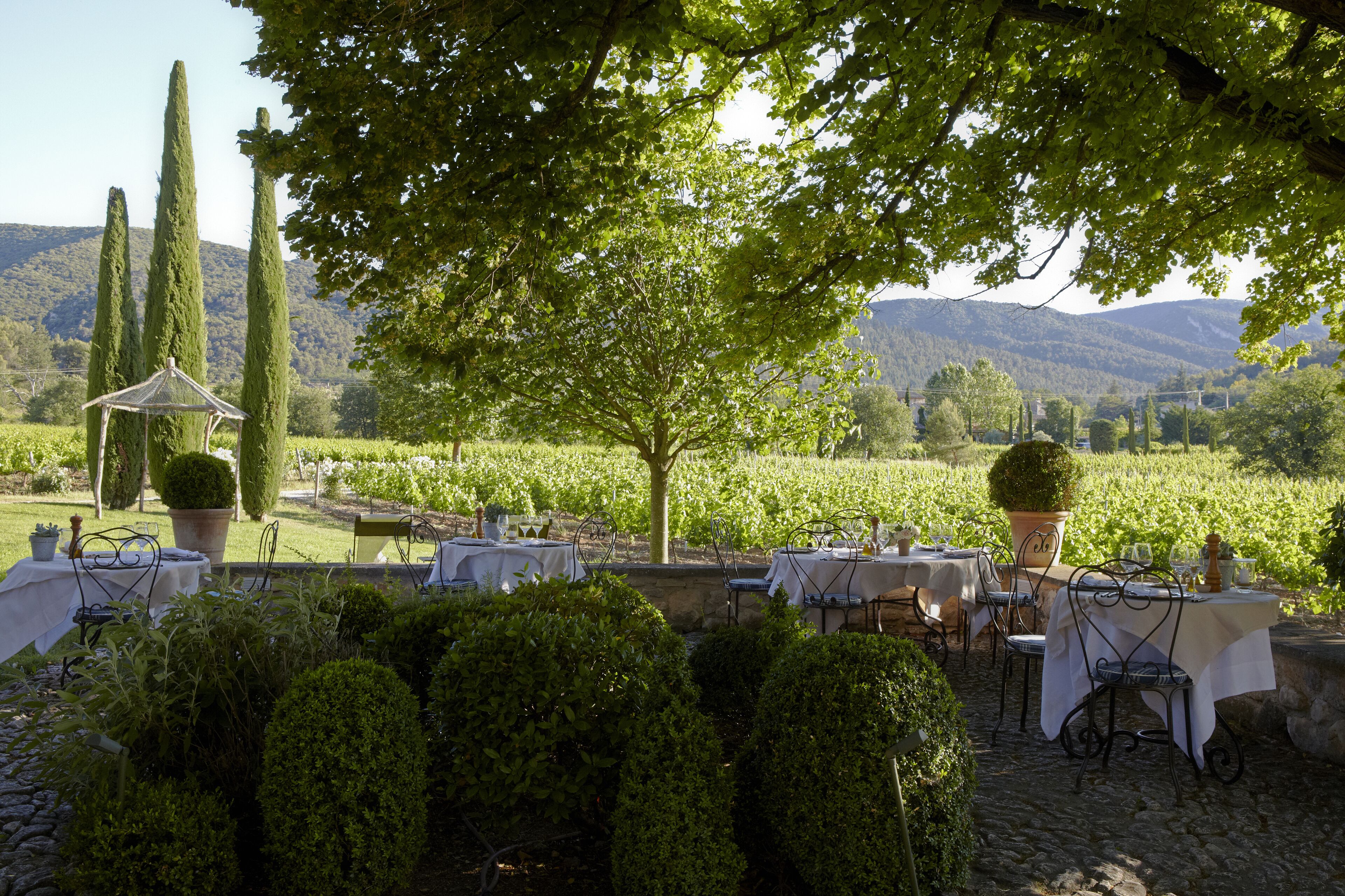 An outdoor dining area with tables and chairs, surrounded by neatly trimmed hedges and a large tree providing shade.