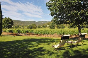 Vineyard view - La Bastide De Marie (Menerbes)