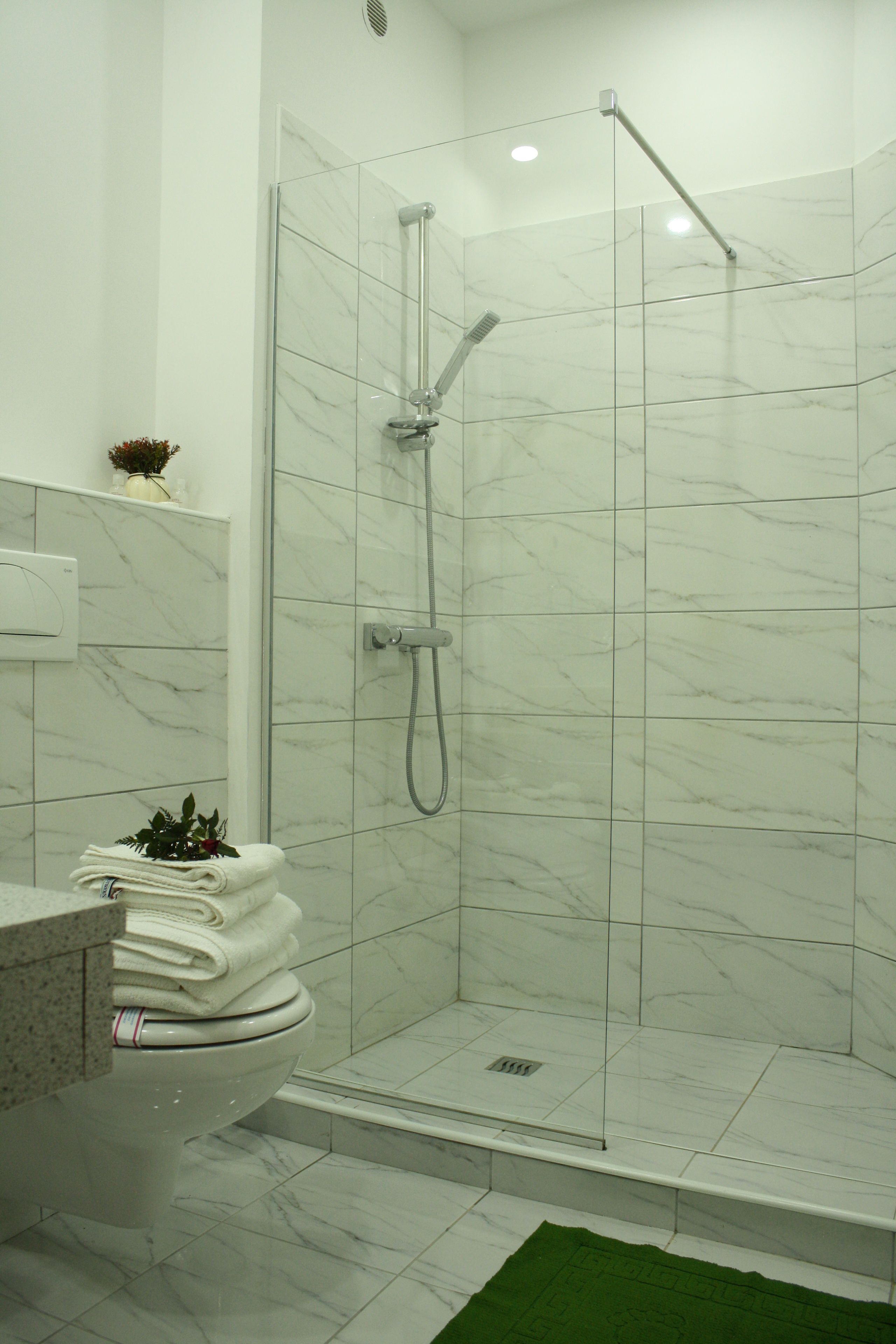standard double room | bathroom shower