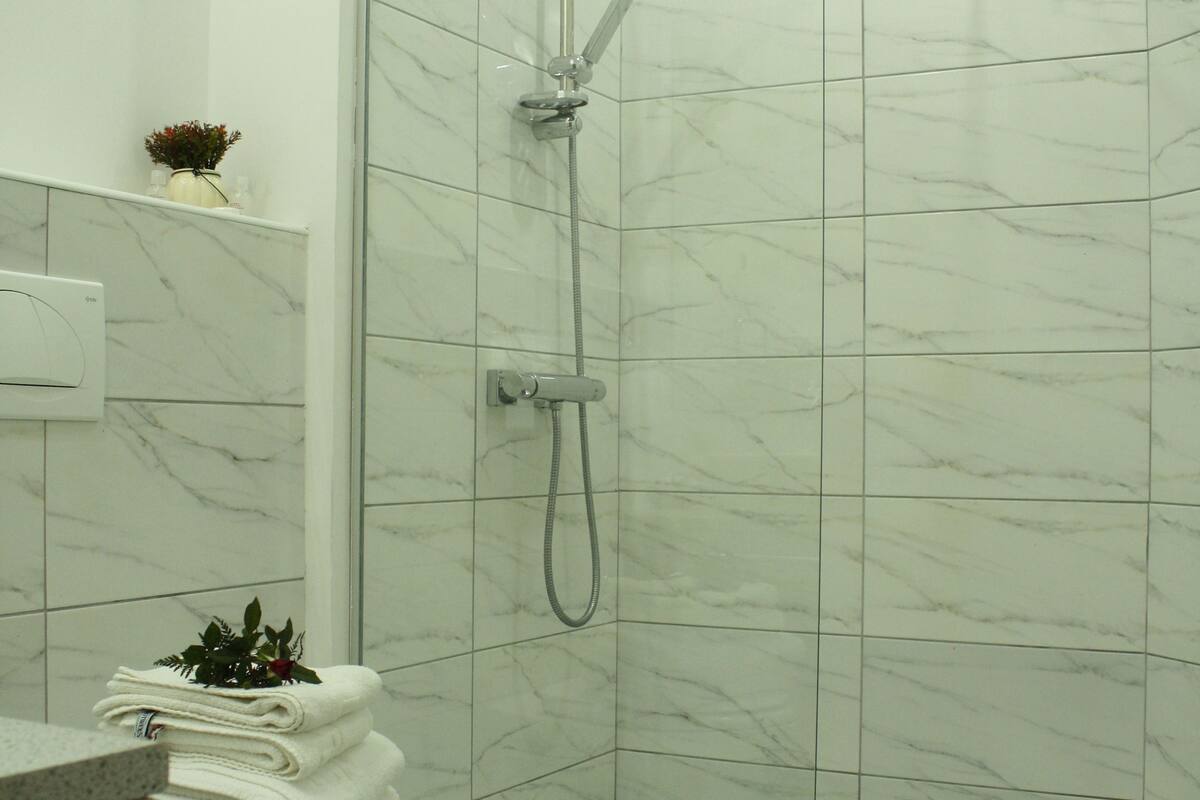 standard double room | bathroom shower