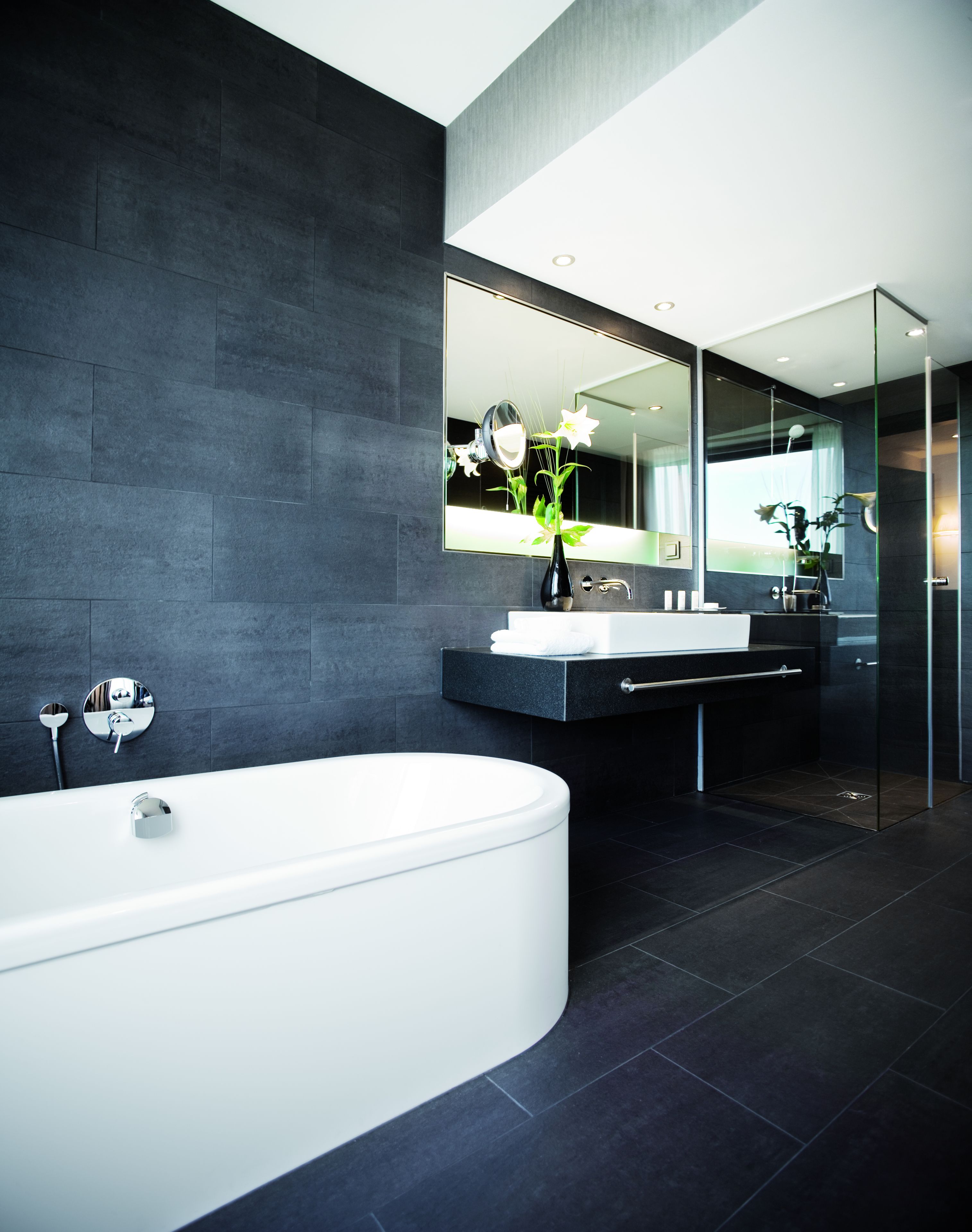 shower, hydromassage showerhead, designer toiletries, hair dryer