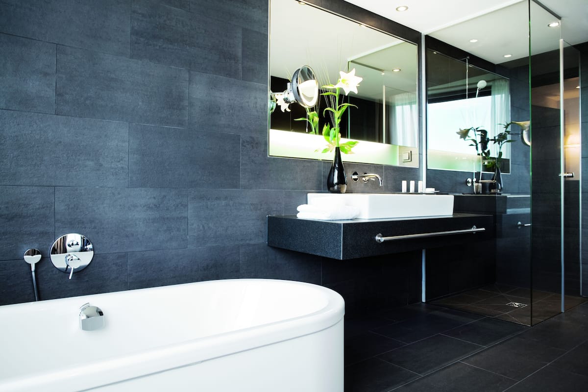 shower, hydromassage showerhead, designer toiletries, hair dryer