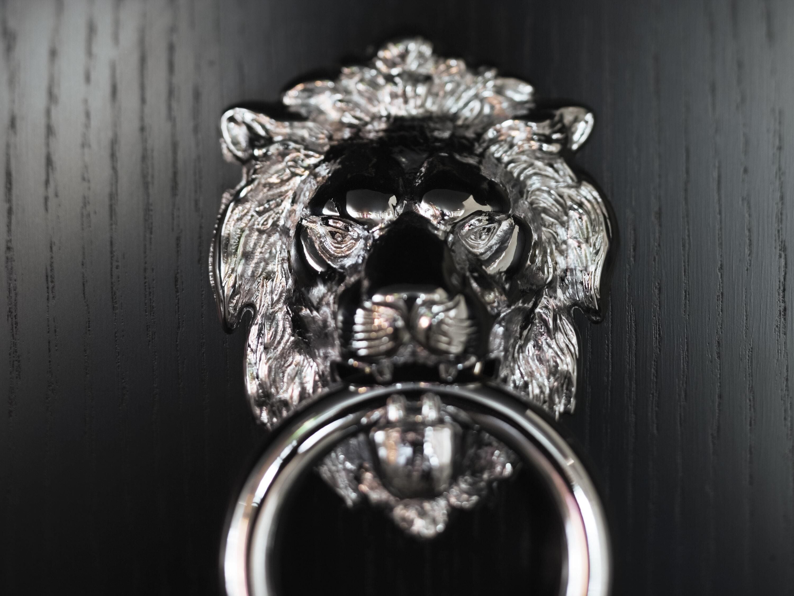 A metallic object with a lion's head design, possibly a keychain or decorative item.