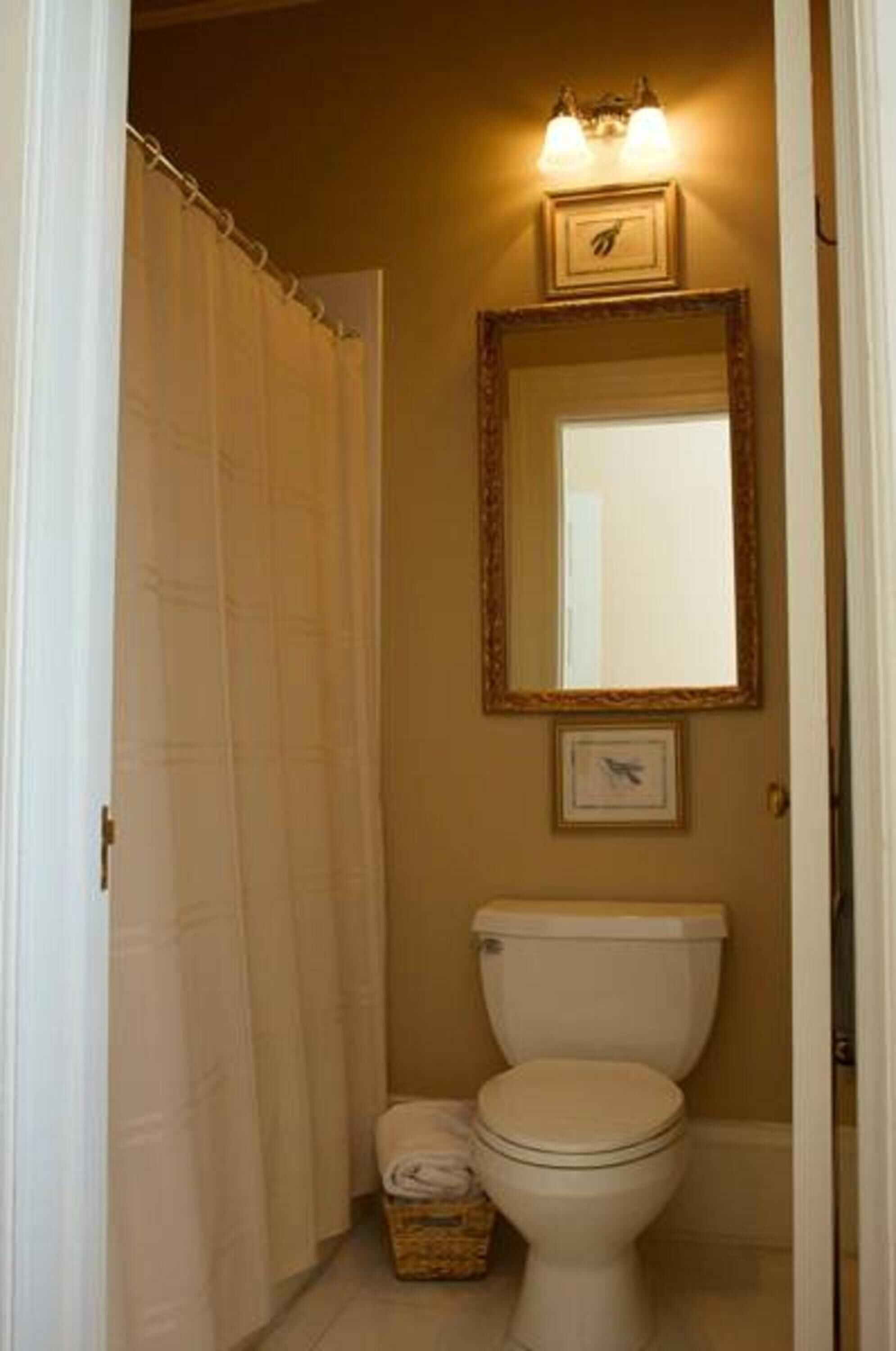 A small bathroom with a toilet, a mirror, and a shower curtain.