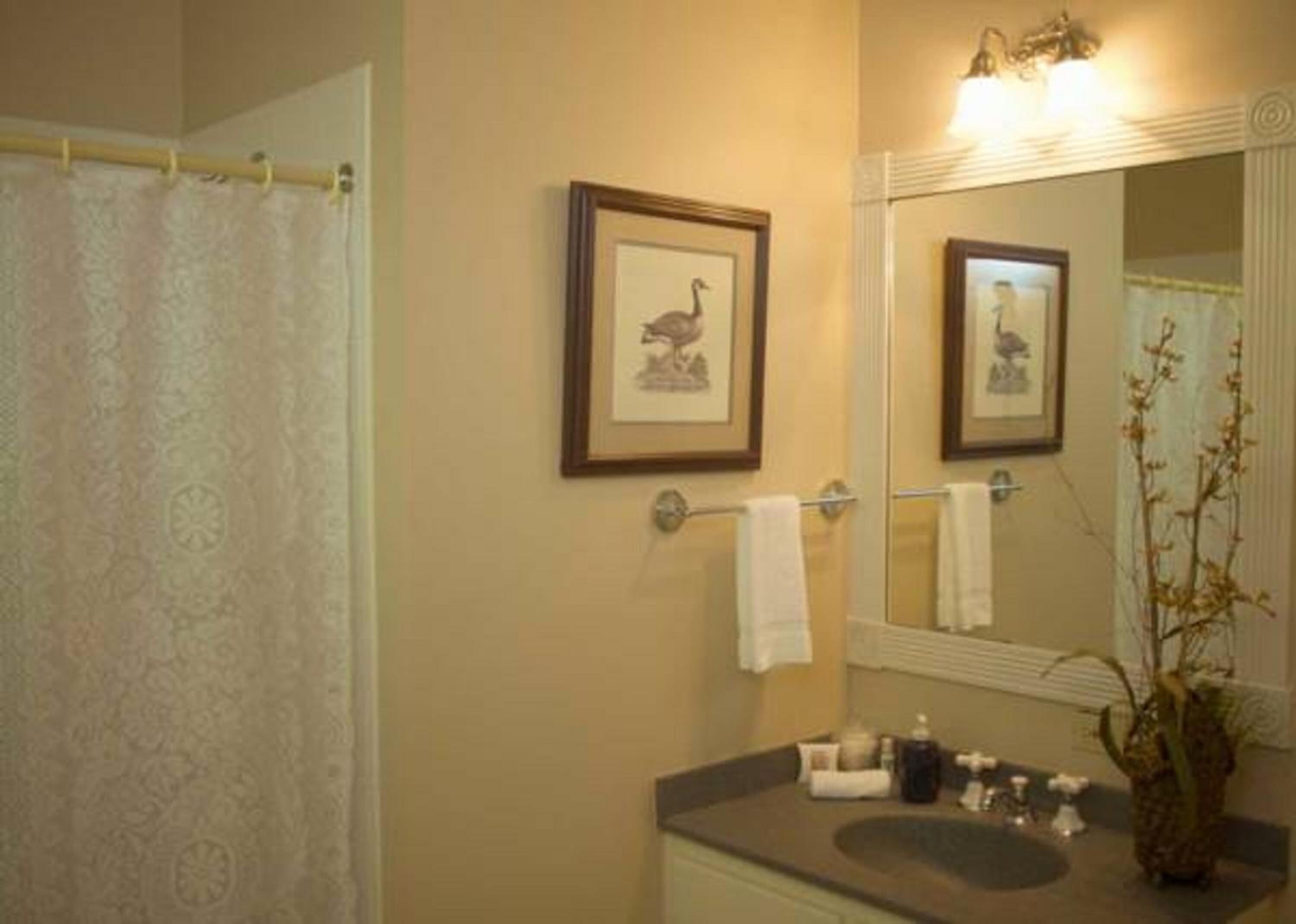 A bathroom with a shower curtain, a sink with toiletries, a towel rack, and framed pictures on the wall.
